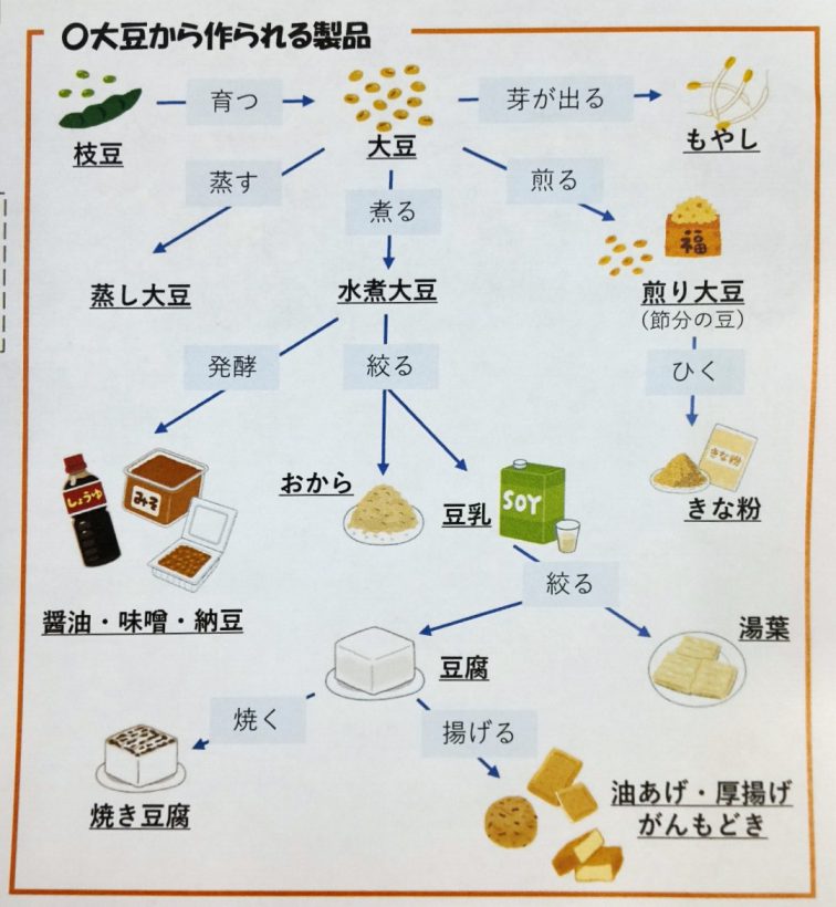 栄養コラム　2月号「大豆について」